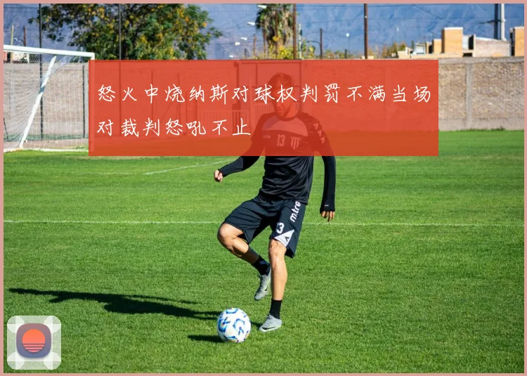 怒火中烧纳斯对球权判罚不满当场对裁判怒吼不止