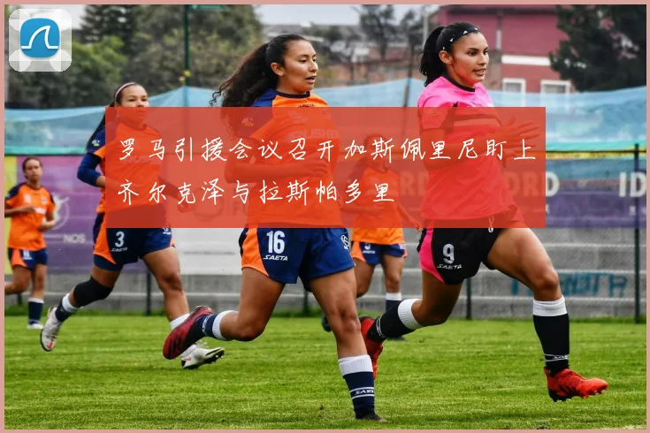 罗马引援会议召开加斯佩里尼盯上齐尔克泽与拉斯帕多里