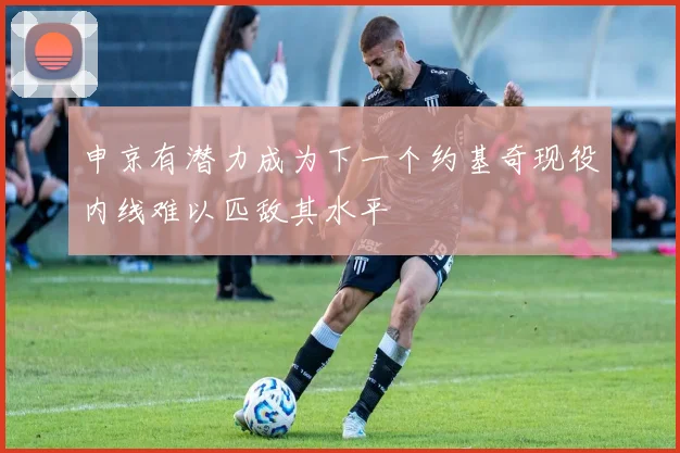 申京有潜力成为下一个约基奇现役内线难以匹敌其水平