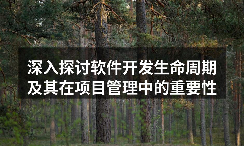 深入探讨软件开发生命周期及其在项目管理中